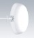 Thorn Katona Round LED, IP65 Bulkhead