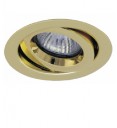 Ansell iCage Mini, Fire Rated Downlight Fitting, GIMBLE, BRASS