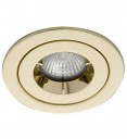 Ansell iCage Mini, Fire Rated Downlight Fitting, IP65 Shower, BRASS