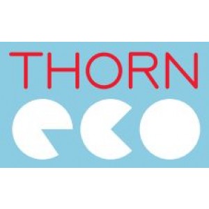 Thorn Eco GAMEO LED Ceiling Panel, 600x600, 840, 32W, UGR<19, 96629783